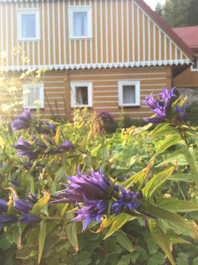 Horska U Hancilu Chalet *