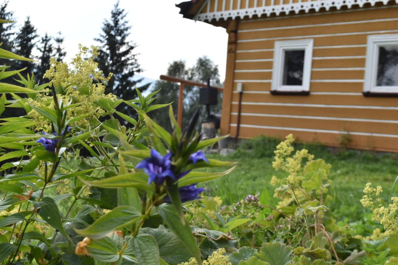 Horska U Hancilu Pec pod Snezkou